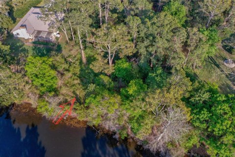 Terreno en venta en Palm Coast, Florida № 1799761 - foto 17