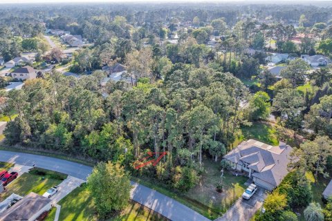 Terreno en venta en Palm Coast, Florida № 1799761 - foto 2