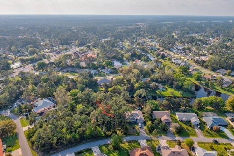 Terreno en venta en Palm Coast, Florida № 1799761 - foto 10