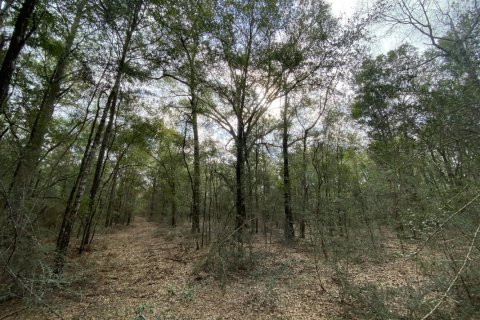 Land in Crestview, Florida № 558241 - photo 1