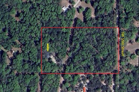 House in Micanopy, Florida 3 bedrooms, 165.74 sq.m. № 1750590 - photo 3