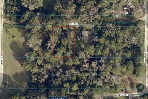 Terreno en venta en Summerfield, Florida № 2207561 - foto 2