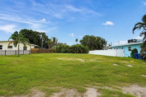 Land in Saint Petersburg, Florida № 2223490 - photo 2