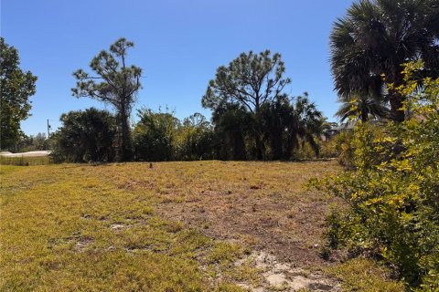 Land in Port Charlotte, Florida № 1550236 - photo 10