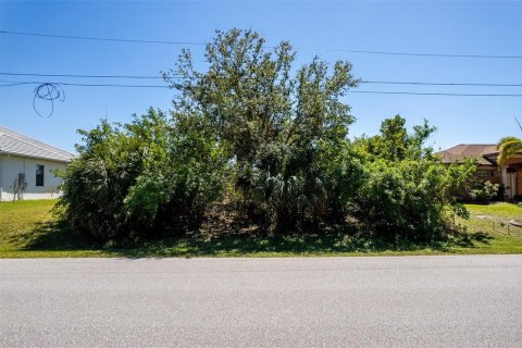 Land in Port Charlotte, Florida № 1550236 - photo 17