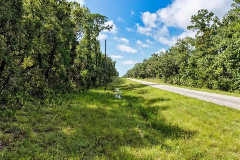 Terreno en venta en Chiefland, Florida № 1840202 - foto 17