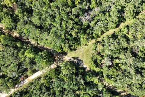 Terreno en venta en Chiefland, Florida № 1840202 - foto 20