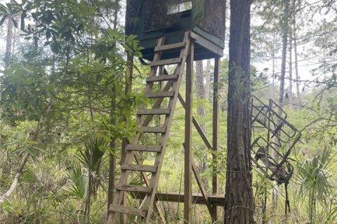 Terreno en venta en Chiefland, Florida № 1840202 - foto 11
