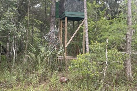 Terreno en venta en Chiefland, Florida № 1840202 - foto 13