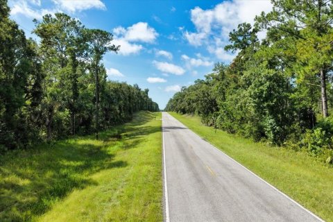 Terreno en venta en Chiefland, Florida № 1840202 - foto 19