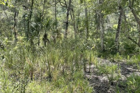 Terreno en venta en Chiefland, Florida № 1840202 - foto 9