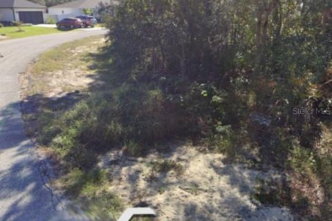 Land in Kissimmee, Florida № 1848686 - photo 2