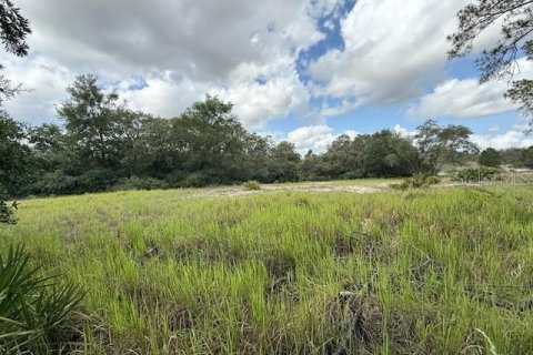 House in Babson Park, Florida 1 bedroom, 59.46 sq.m. № 1808878 - photo 20