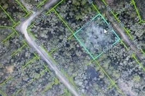 Land in Webster, Florida № 2161867 - photo 7