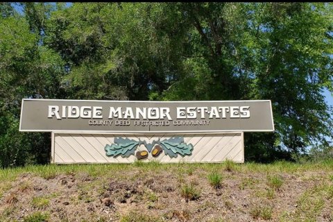 Land in Webster, Florida № 2161867