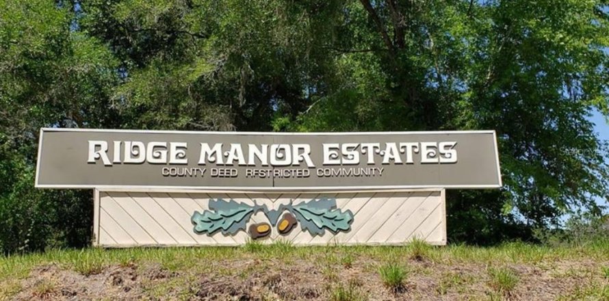 Land in Webster, Florida № 2161867