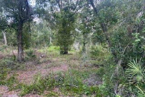 Land in Webster, Florida № 2161867 - photo 5