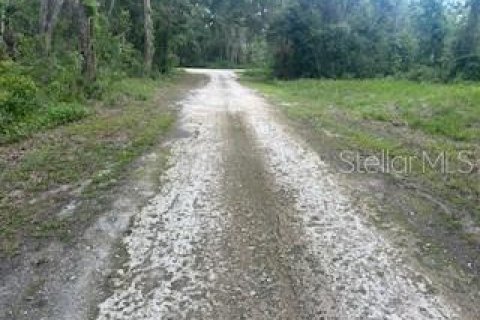 Land in Webster, Florida № 2161867 - photo 3