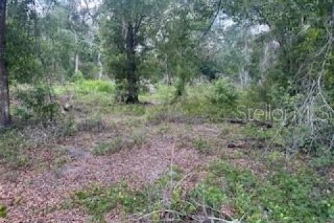 Land in Webster, Florida № 2161867 - photo 6