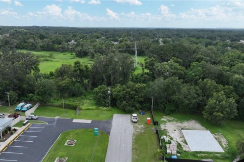 Terreno en venta en Lakeland, Florida № 2102095 - foto 13