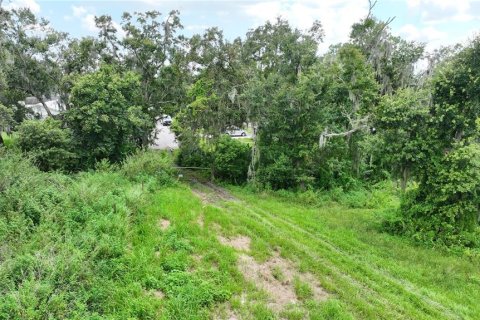 Terreno en venta en Lakeland, Florida № 2102095 - foto 11