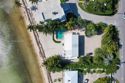 Villa ou maison à vendre à Islamorada, Village of Islands, Floride: 4 chambres № 2073423 - photo 6