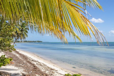 Villa ou maison à Islamorada, Village of Islands, Floride 4 chambres № 2073423