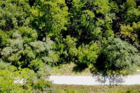 Land in Williston, Florida № 2164169 - photo 2