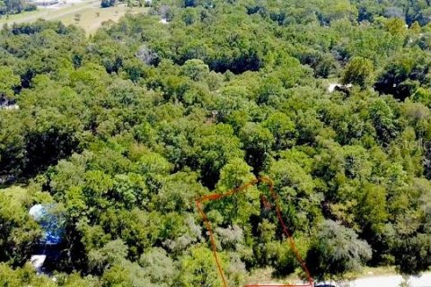 Land in Williston, Florida № 2164169 - photo 6