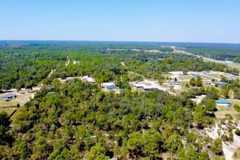 Land in Williston, Florida № 2164169 - photo 8