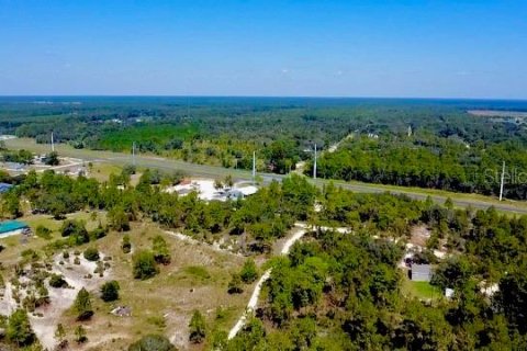 Land in Williston, Florida № 2164169 - photo 9