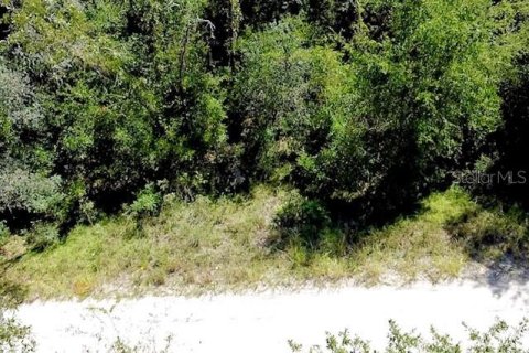 Land in Williston, Florida № 2164169