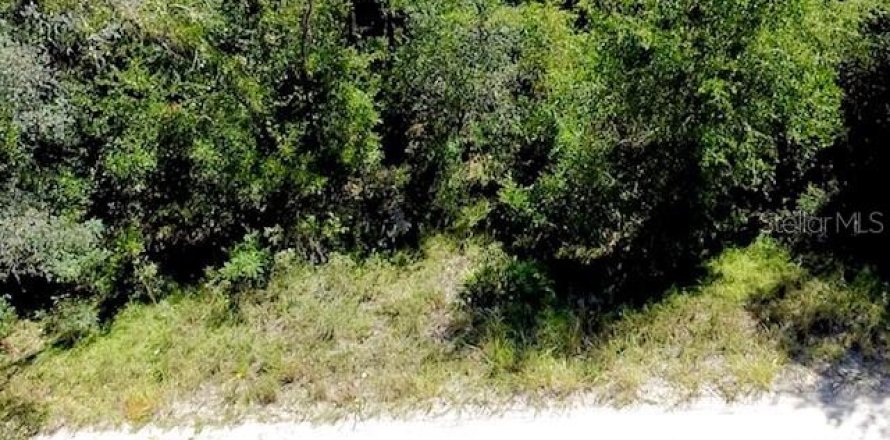 Land in Williston, Florida № 2164169