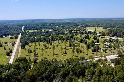 Land in Williston, Florida № 2164169 - photo 13