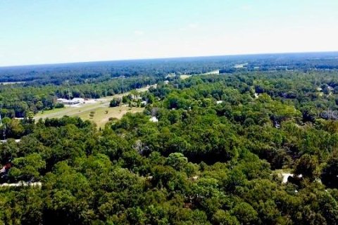 Land in Williston, Florida № 2164169 - photo 10