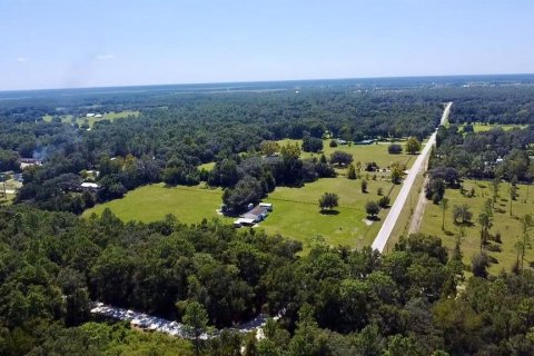 Land in Williston, Florida № 2164169 - photo 12