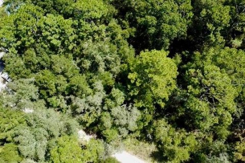 Land in Williston, Florida № 2164169 - photo 3