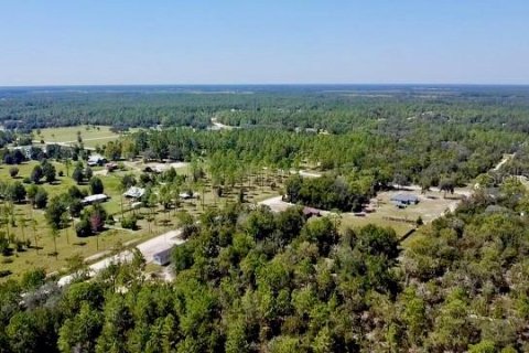 Land in Williston, Florida № 2164169 - photo 14