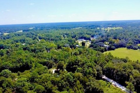 Land in Williston, Florida № 2164169 - photo 11