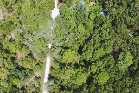 Land in Williston, Florida № 2164169 - photo 4