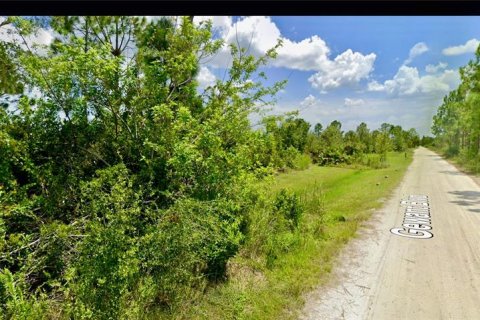 Land in Punta Gorda, Florida № 2230688 - photo 3