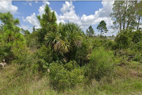 Land in Punta Gorda, Florida № 2230688 - photo 4