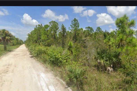 Land in Punta Gorda, Florida № 2230688 - photo 2