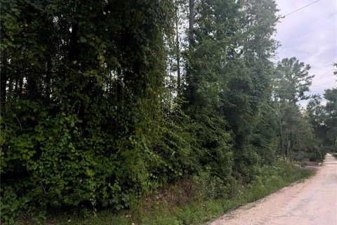 Land in Lake City, Florida № 1843796 - photo 8