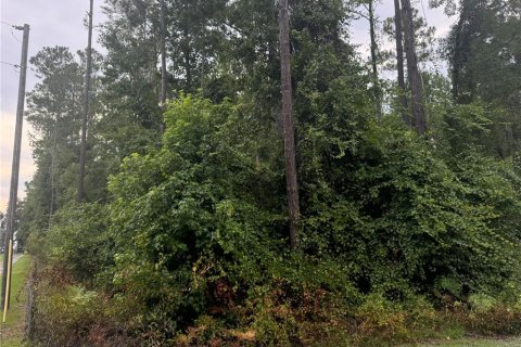 Land in Lake City, Florida № 1843796 - photo 10