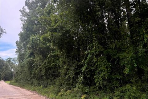 Land in Lake City, Florida № 1843796 - photo 9