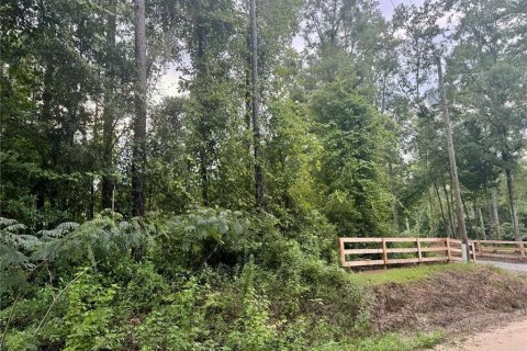 Land in Lake City, Florida № 1843796 - photo 3