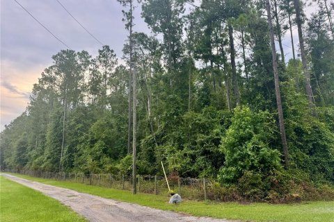 Land in Lake City, Florida № 1843796 - photo 1