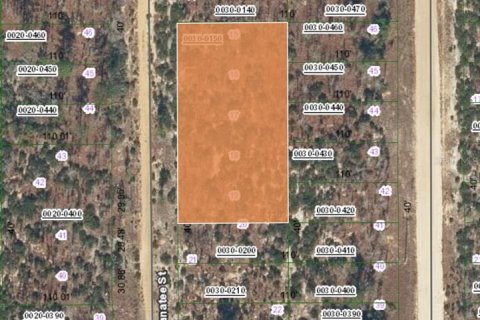 Land in Interlachen, Florida № 2161154