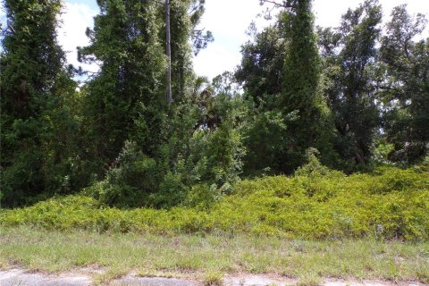 Land in North Port, Florida № 2204482 - photo 3